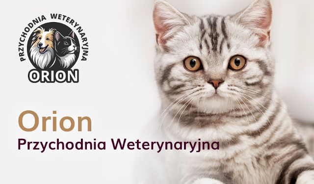 Przychodnia Weterynaryjna ORION 