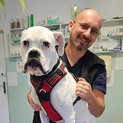 dr n. med. lek. wet. Bartosz Dominiak-Górski