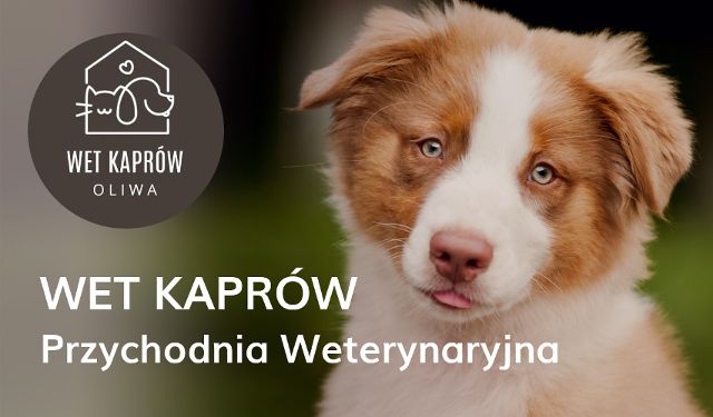 Przychodnia Weterynaryjna WET KAPRÓW