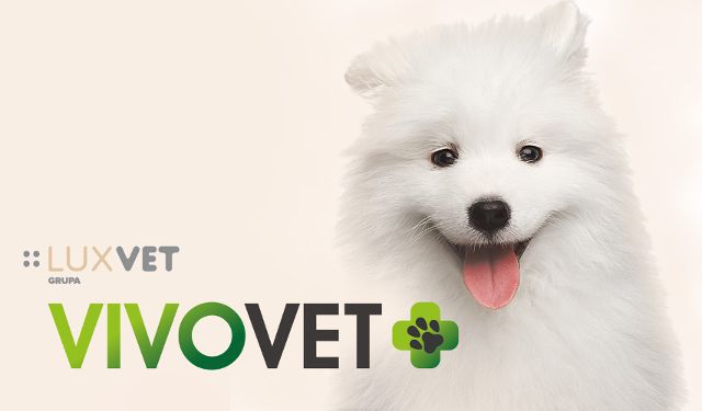 Przychodnia Weterynaryjna VIVOVET Grupa LuxVet