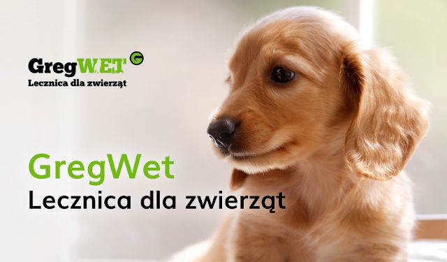 Lecznica dla zwierząt Greg-wet 