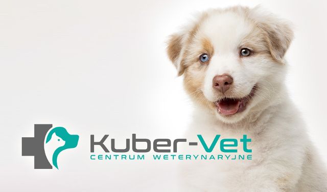 Centrum Weterynaryjne KUBER-VET