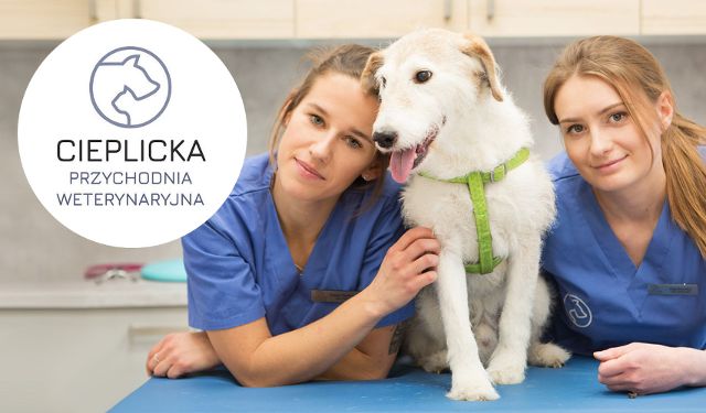 Przychodnia Weterynaryjna Cieplicka