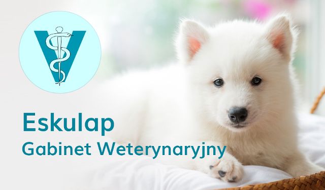 Gabinet weterynaryjny ESKULAP