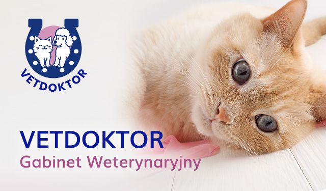 Gabinet weterynaryjny Vetdoktor