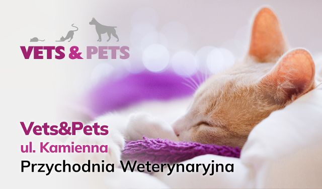 Przychodnia weterynaryjna Vets&Pets Kamienna Wrocław