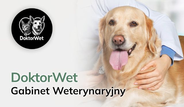 Gabinet Weterynaryjny DoktorWet
