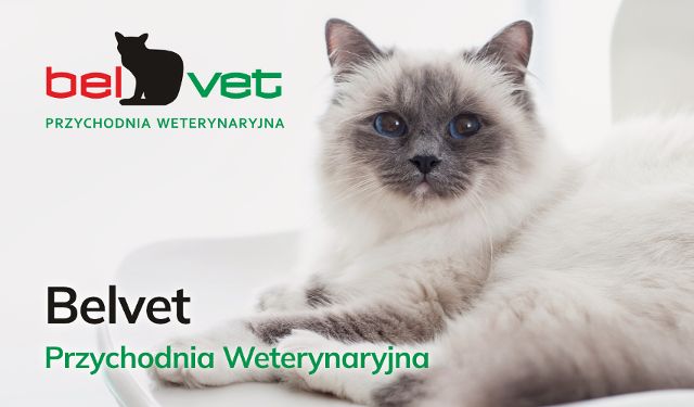 Przychodnia Weterynaryjna Belvet