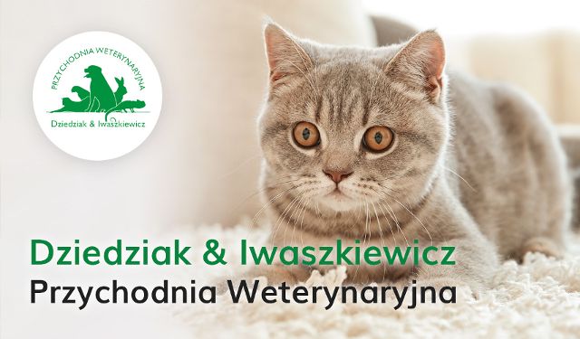 Przychodnia Weterynaryjna Dziedziak & Iwaszkiewicz