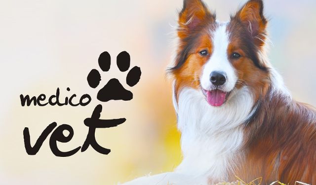 Przychodnia Weterynaryjna Medico-vet