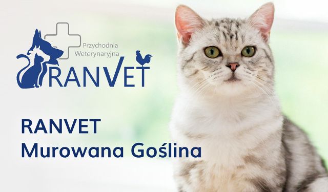 Przychodnia Weterynaryjna RANVET oddział Murowana Goślina