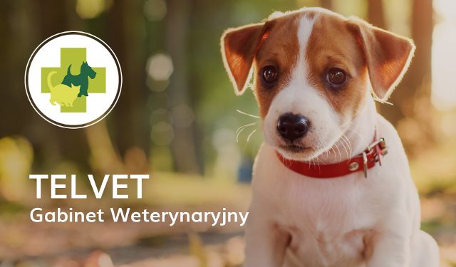 Gabinet Weterynaryjny TELVET