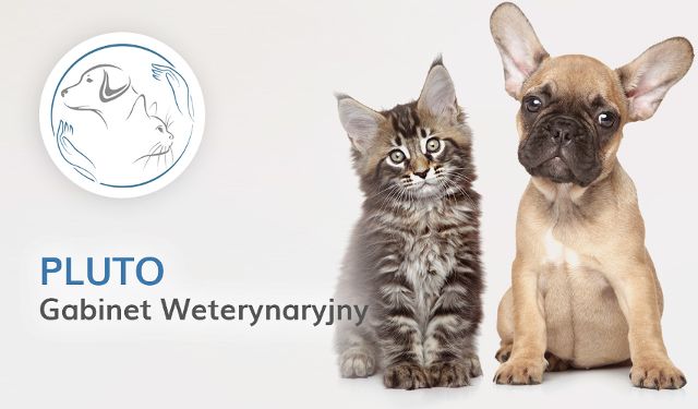 Gabinet Weterynaryjny Pluto