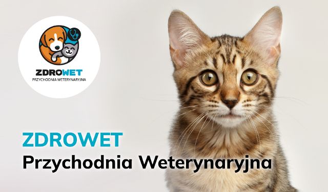 Przychodnia Weterynaryjna Zdrowet