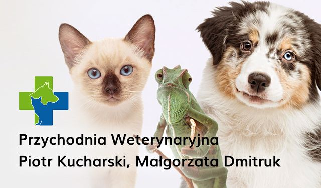 Przychodnia Weterynaryjna P. Kucharski, M. Dmitruk 