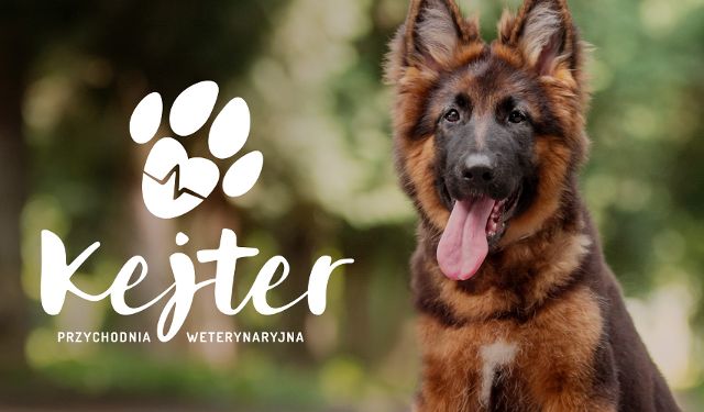 Przychodnia Weterynaryjna Kejter
