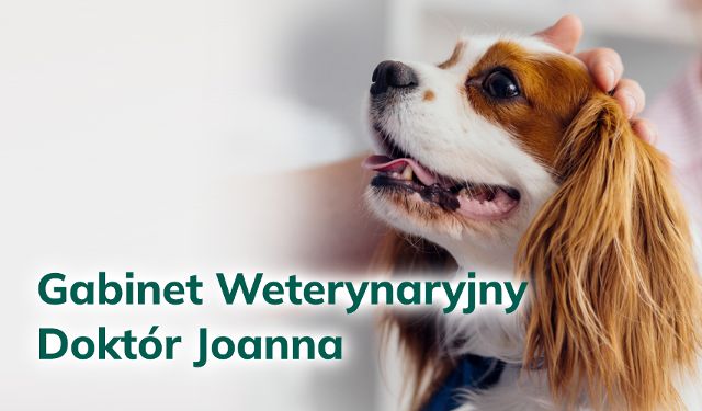 Gabinet Weterynaryjny Doktór Joanna