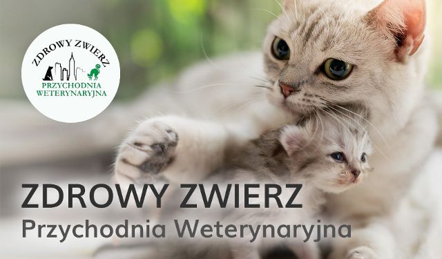 Przychodnia Weterynaryjna Zdrowy Zwierz 
