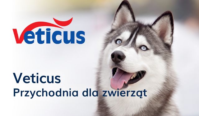 Przychodnia Dla Zwierząt VETICUS