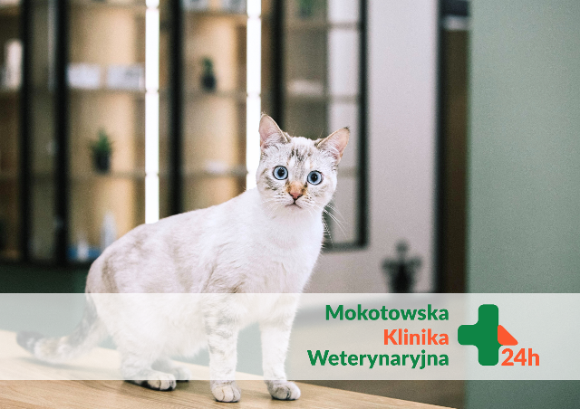 Klinika Weterynaryjna Mokotowska