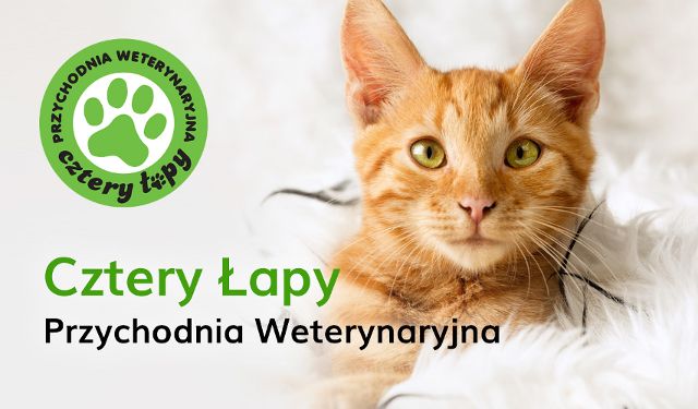 Przychodnia Weterynaryjna Cztery Łapy