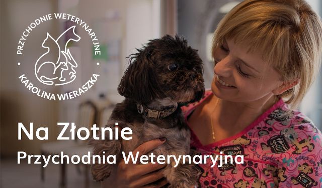 Przychodnia Weterynaryjna Na Złotnie