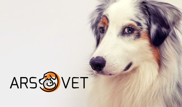 Przychodnia Weterynaryjna ArsVet