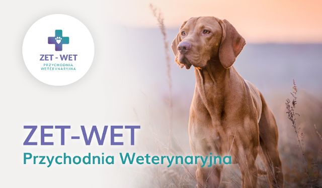 Przychodnia Weterynaryjna Zet-Wet