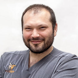 Lek.wet. spec. Tomasz Kępiński