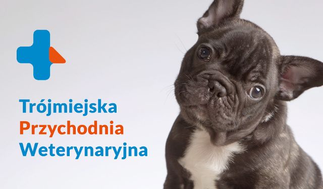 Trójmiejska Przychodnia Weterynaryjna, Gdańsk