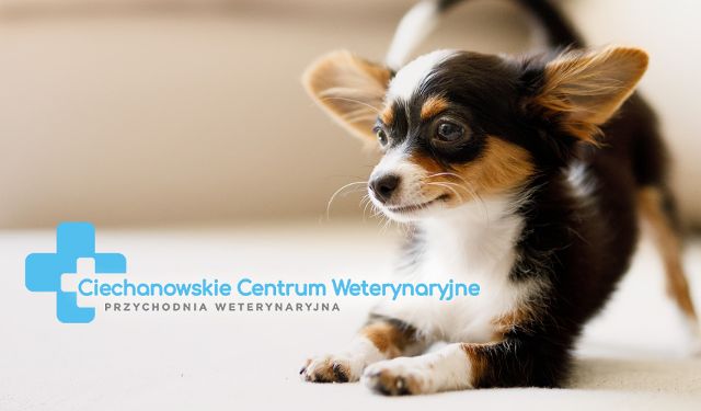 Ciechanowskie Centrum Weterynaryjne