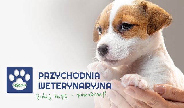 Przychodnia Weterynaryjna Feniks