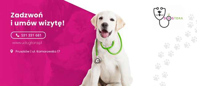 Przychodnia weterynaryjna U DOGtora