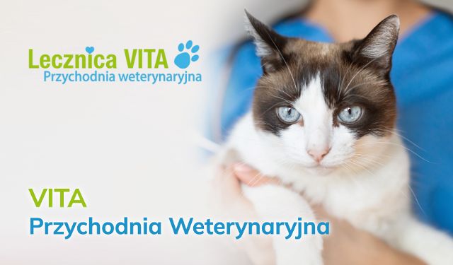 Przychodnia Weterynaryjna VITA
