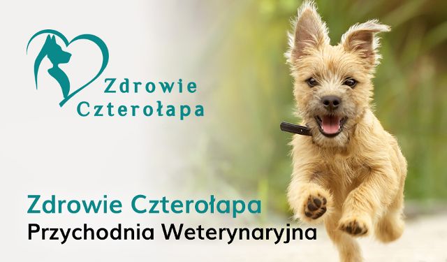 Przychodnia Weterynaryjna Zdrowie Czterołapa