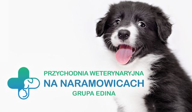 Przychodnia Weterynaryjna Na Naramowicach Grupa EDINA 