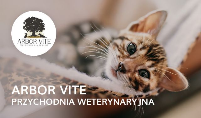 Przychodnia Weterynaryjna Arbor Vite
