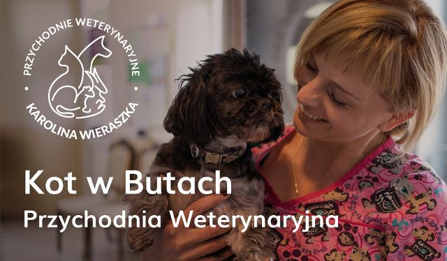 Przychodnia Weterynaryjna Kot w Butach
