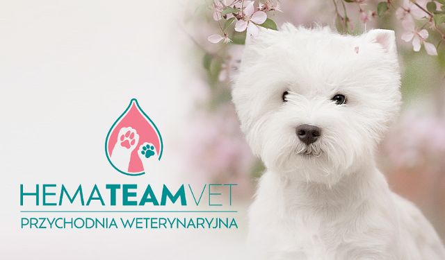 Przychodnia weterynaryjna Hemateam-vet