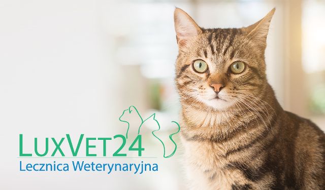 Lecznica Weterynaryjna "LUXVET24"