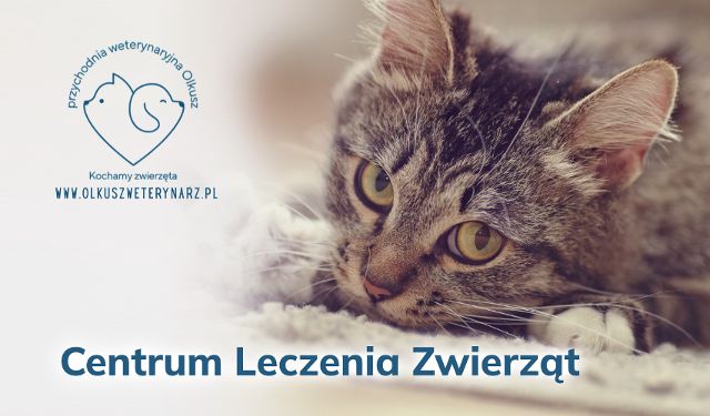 Centrum Leczenia Zwierząt w Olkuszu