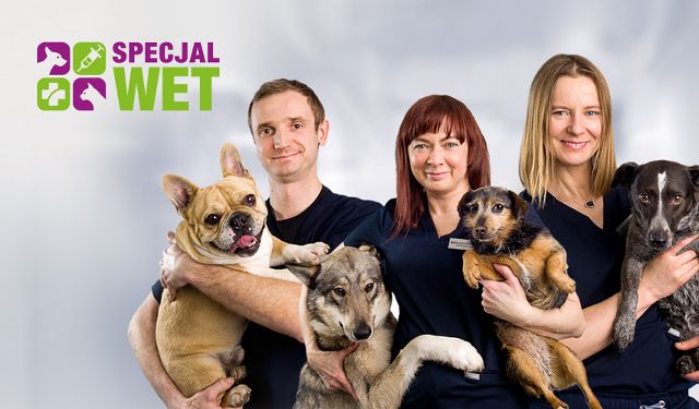 Przychodnia Dla Zwierząt Specjalwet
