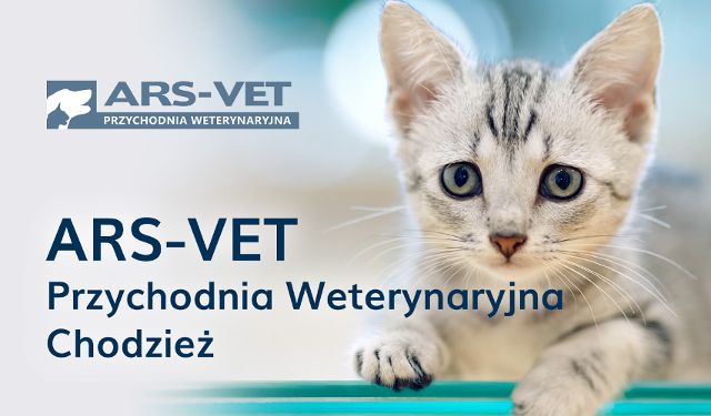 Przychodnia Weterynaryjna ARS-VET oddział Chodzież 