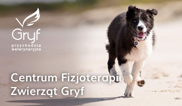 Centrum Fizjoterapii Zwierząt Gryf