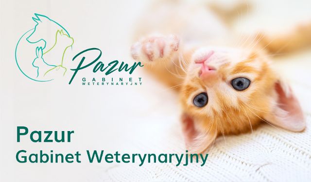 Gabinet weterynaryjny Pazur