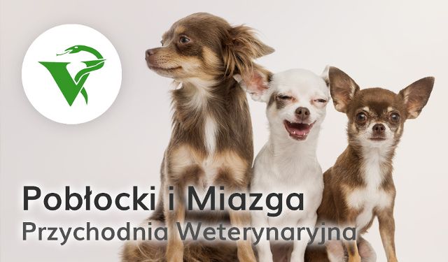 Przychodnia Weterynaryjna Pobłocki Miazga sp. z o.o.