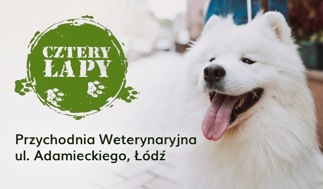 Cztery Łapy Przychodnia Weterynaryjna Oddział ul. Adamieckiego 1