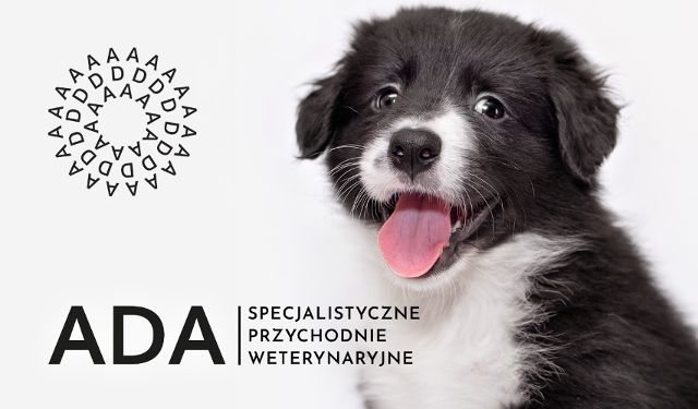 ADA - Specjalistyczne Przychodnie Weterynaryjne Fedaczyńscy & Kotowicz