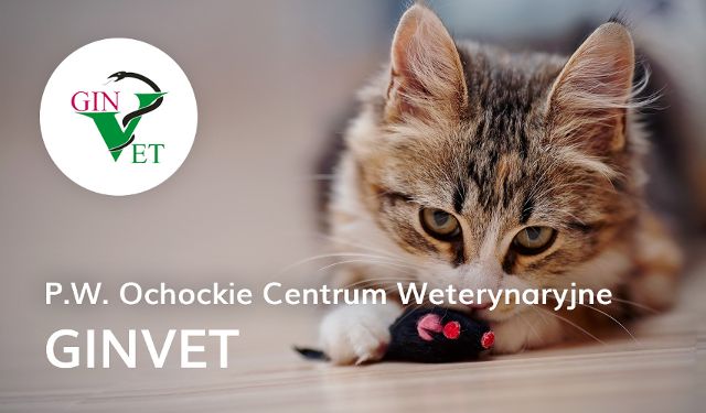 P.W. Ochockie Centrum Weterynaryjne GINVET