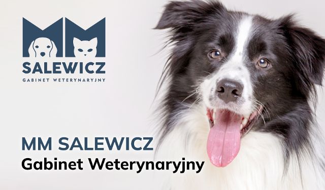 Gabinet Weterynaryjny Salewicz